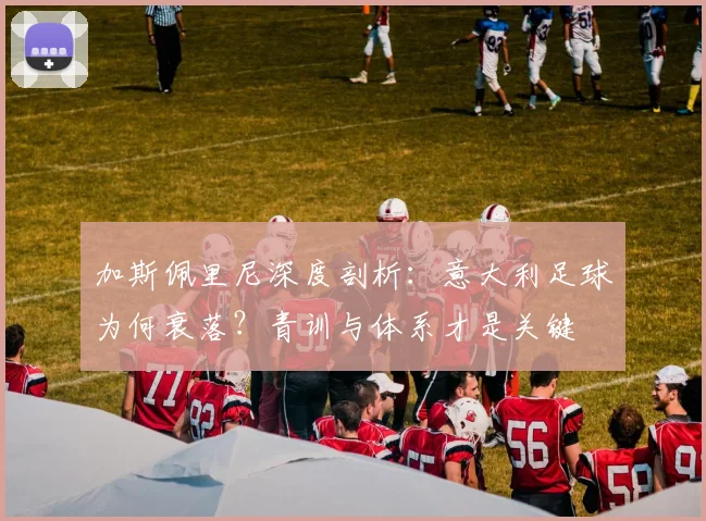 加斯佩里尼深度剖析：意大利足球为何衰落？青训与体系才是关键
